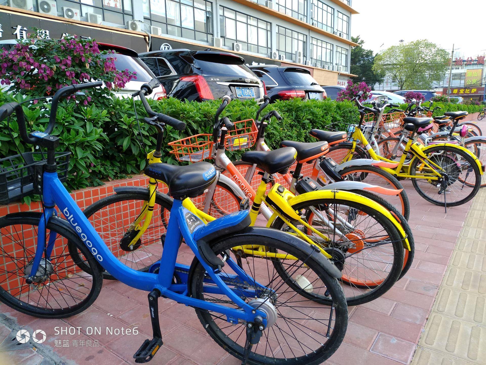 红米5plus和魅蓝note6,红米note5与魅蓝note6拍照对比