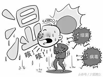 不用烘干机，把你身体里面的湿气给吃出来！