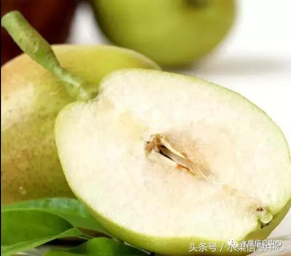 梨子的品种与产地,梨子品种及产地