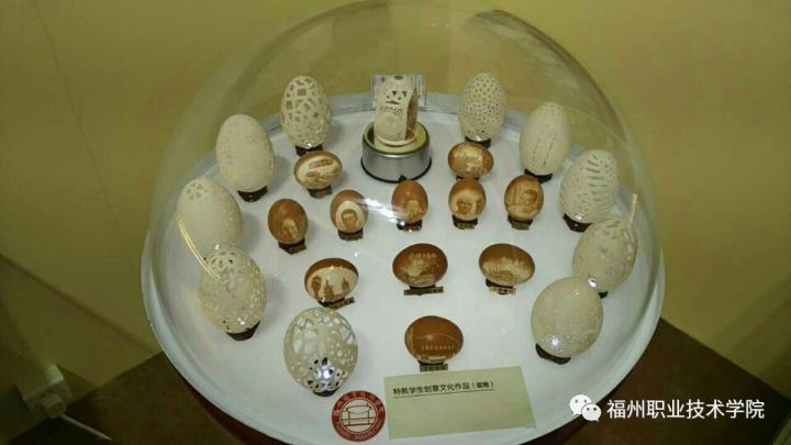 福州的职业技术学院有哪些,福州职业技术学院都有什么学院