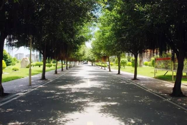 福州的职业技术学院有哪些,福州职业技术学院都有什么学院