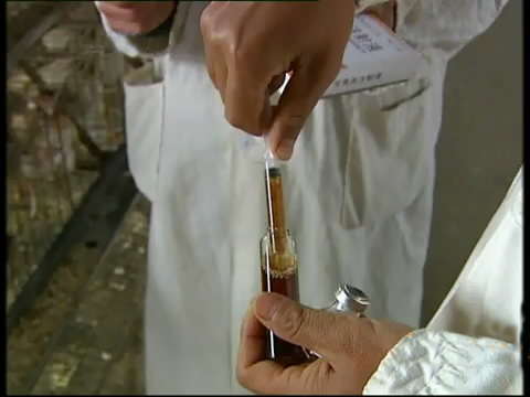 新款斗鸡养殖版,斗鸡的养殖技术视频播放