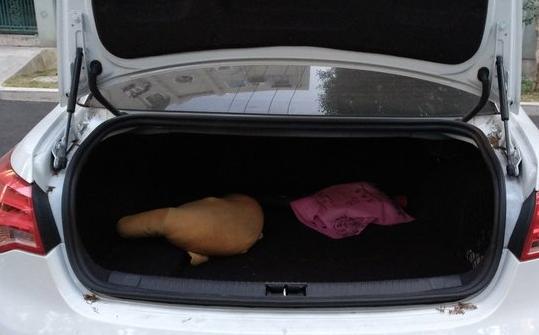 荣威e550的优点,国产车荣威算不算最好的车