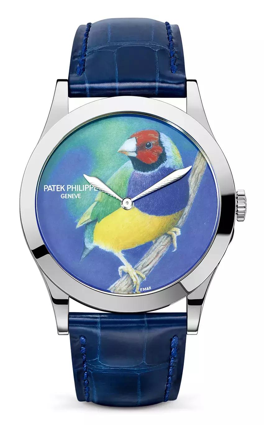 表盘参数详细讲解,表盘教学大全