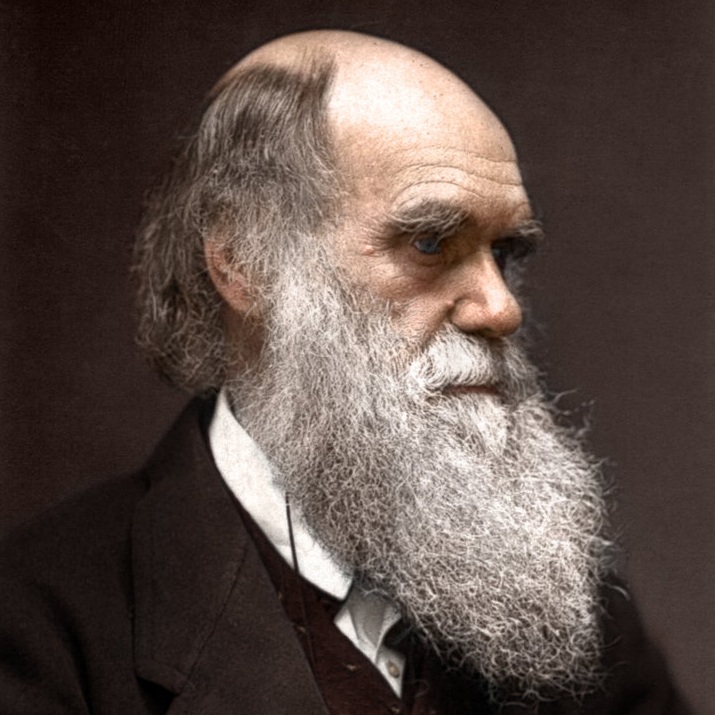 干了这碗深夜的鸡汤,干了这碗鸡汤继续前行