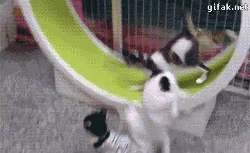 热成像特效能显示放屁吗,热成像放屁检测特效剪映