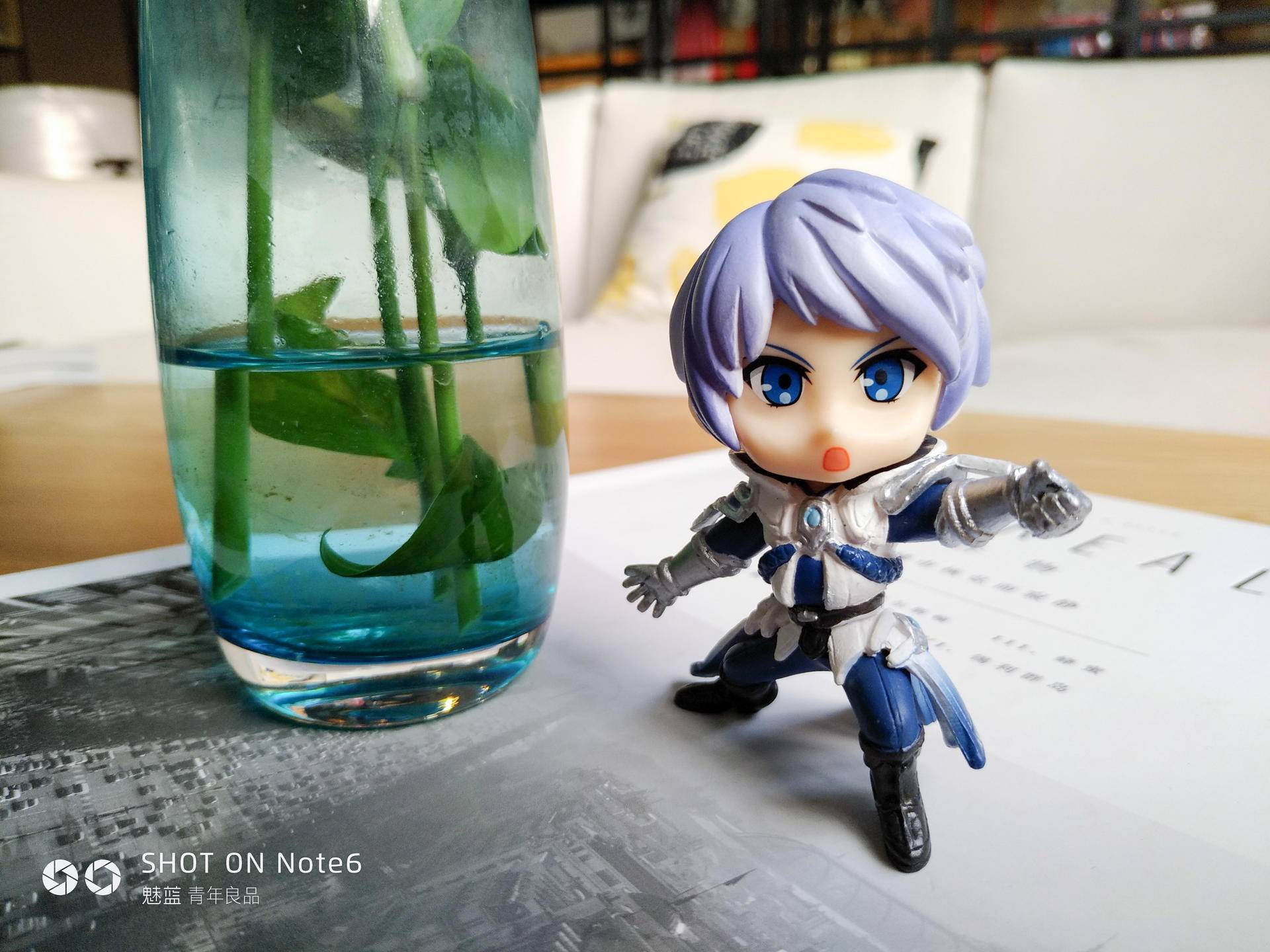 红米5plus和魅蓝note6,红米note5与魅蓝note6拍照对比