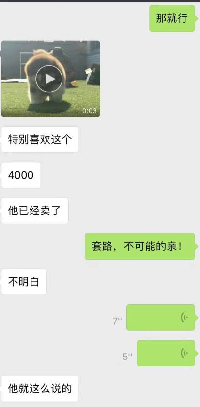 宠物爱心骗局新套路,宠物圈骗局大揭秘