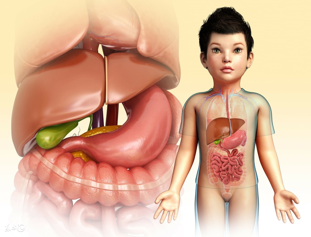 花生养胃是吃生花生还是熟花生,每天吃几颗花生是不是可以养胃