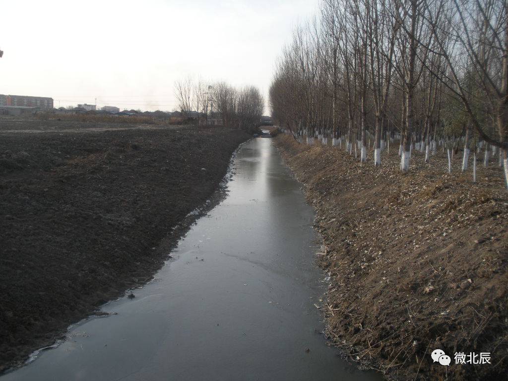 2024年北辰区20项民心工程定了吗,北辰2024民心工程项目