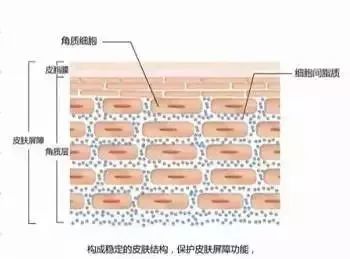 舒淇为什么突然告别演员生涯,舒淇22岁到43岁颜值变化