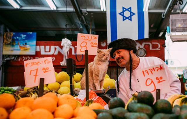 耶路撒冷的三教圣地历史渊源,耶路撒冷是哪三教的圣地呢图片
