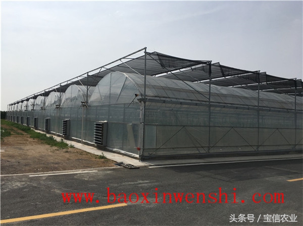 大型薄膜温室大棚设计,高端薄膜温室大棚