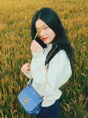 刘雯每月收入多少钱,刘雯收入2018排第几