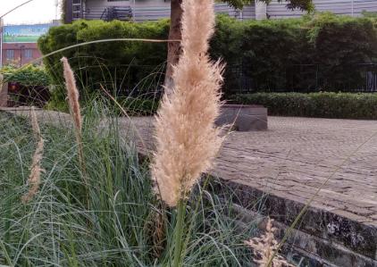 红米5plus和魅蓝note6,红米note5与魅蓝note6拍照对比