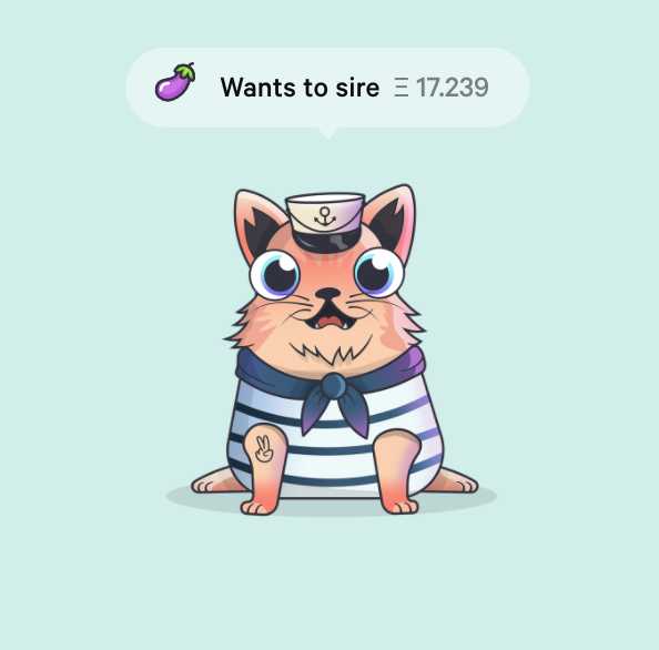 全球最贵29只猫,最贵的猫10万一只