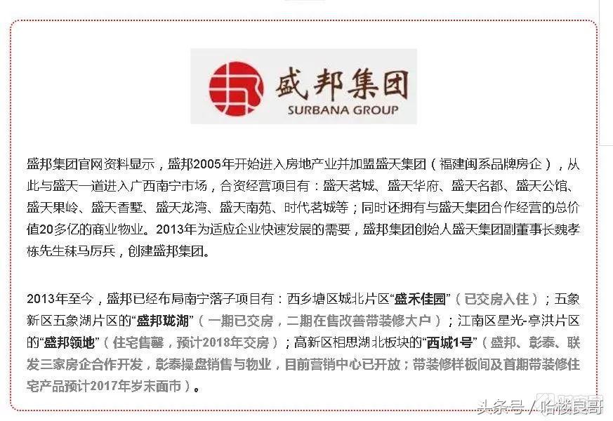 南宁东沟岭盛邦,盛邦地产新地块