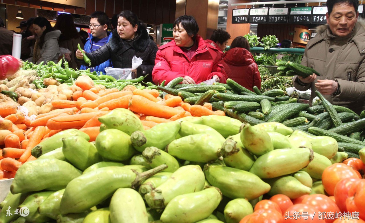 55到65岁在农村能创业什么项目,农村养殖种植与三农创业致富项目