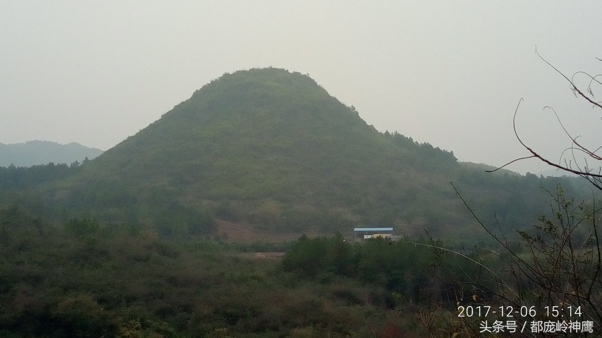 55到65岁在农村能创业什么项目,农村养殖种植与三农创业致富项目