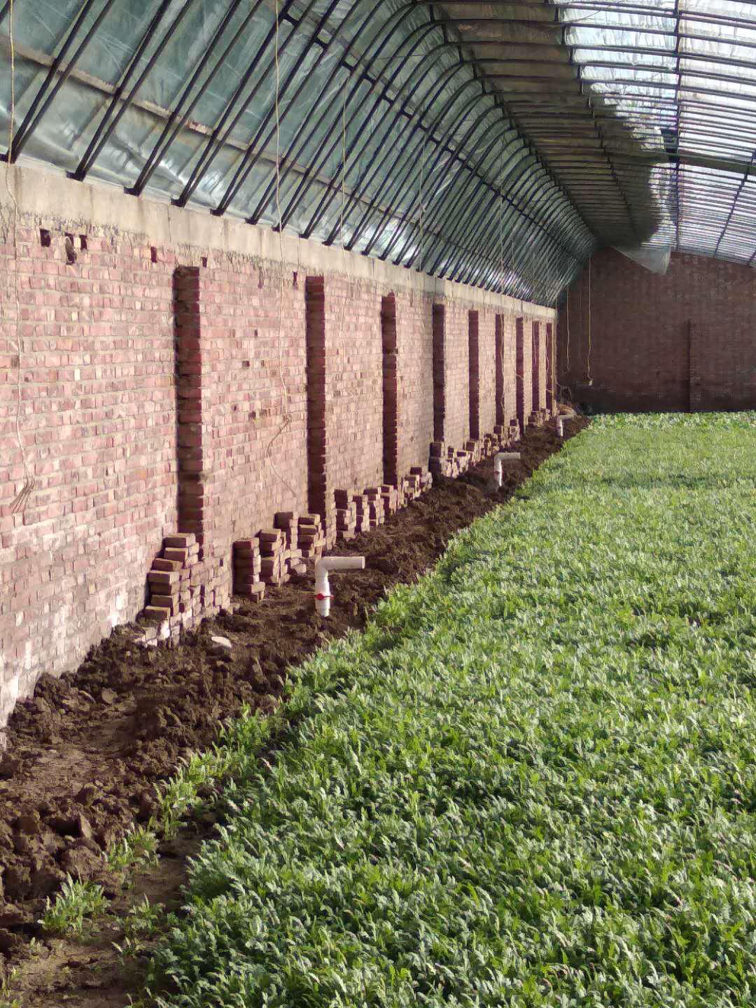 2024年北辰区20项民心工程定了吗,北辰2024民心工程项目