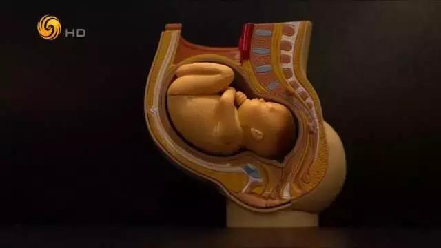 那些关于“坐月子”的神秘传言，让专家为你逐一击破！