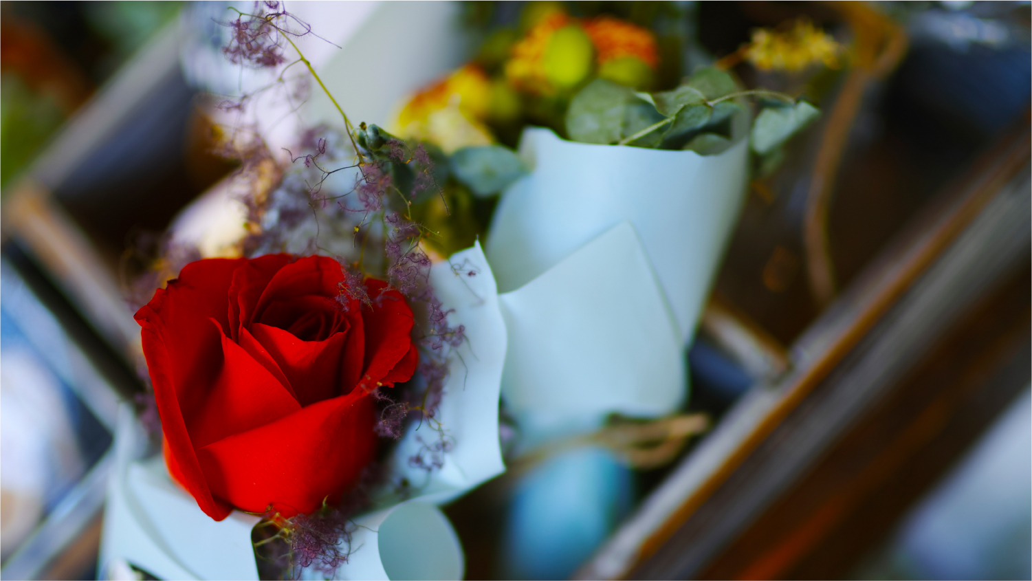 2017年底总结：这一年陪我走过的数码玩具们……