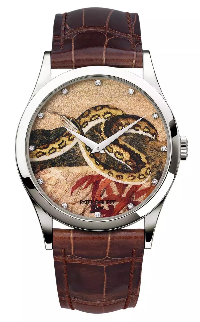 表盘参数详细讲解,表盘教学大全