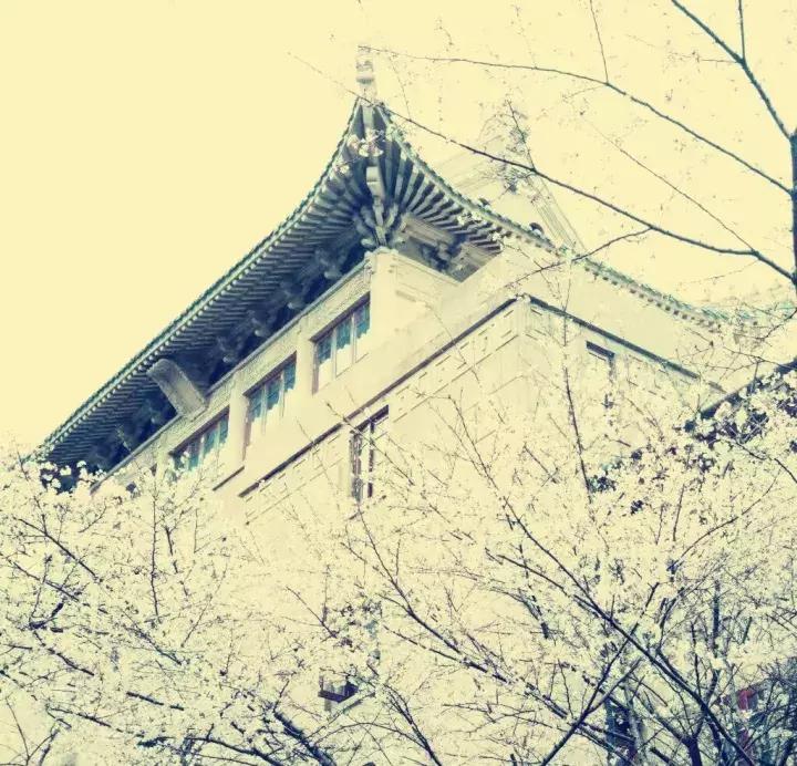 专科的第一学历是大专吗,我的第一学历