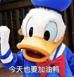 一边作死一边自救,90后的养生,很朋克嘛