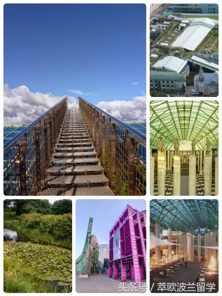 萃欧波兰官网,萃欧留学