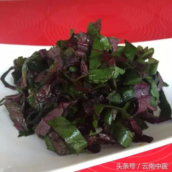 紫苏怎么用效果最好,紫苏越来越绿