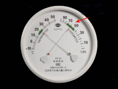 新款斗鸡养殖版,斗鸡的养殖技术视频播放