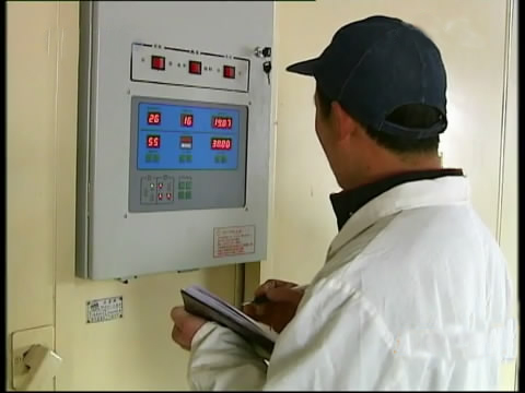 新款斗鸡养殖版,斗鸡的养殖技术视频播放