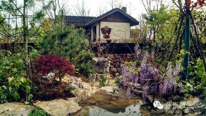 园博园花海在哪个位置,园博园花海现在还有么