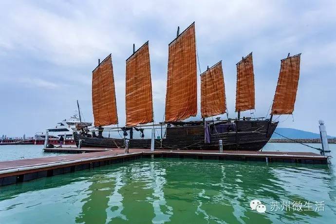 园博园花海在哪个位置,园博园花海现在还有么