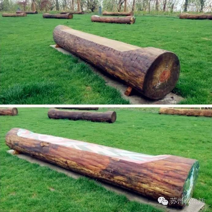 园博园花海在哪个位置,园博园花海现在还有么