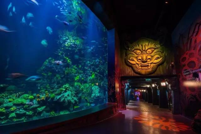 上海迪士尼乐园迷宫体验,上海迪士尼乐园奇幻谷