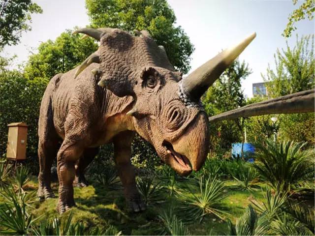 上海迪士尼乐园迷宫体验,上海迪士尼乐园奇幻谷