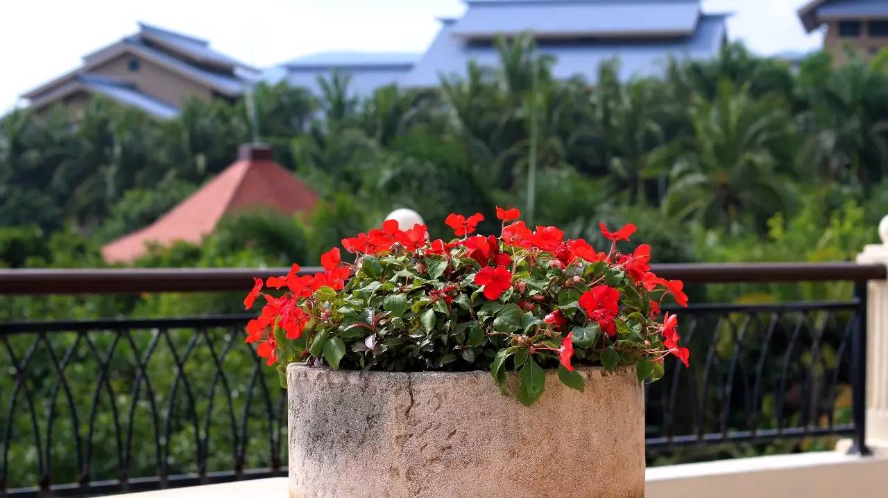 三亚万豪度假酒店攻略,三亚假日度假酒店攻略