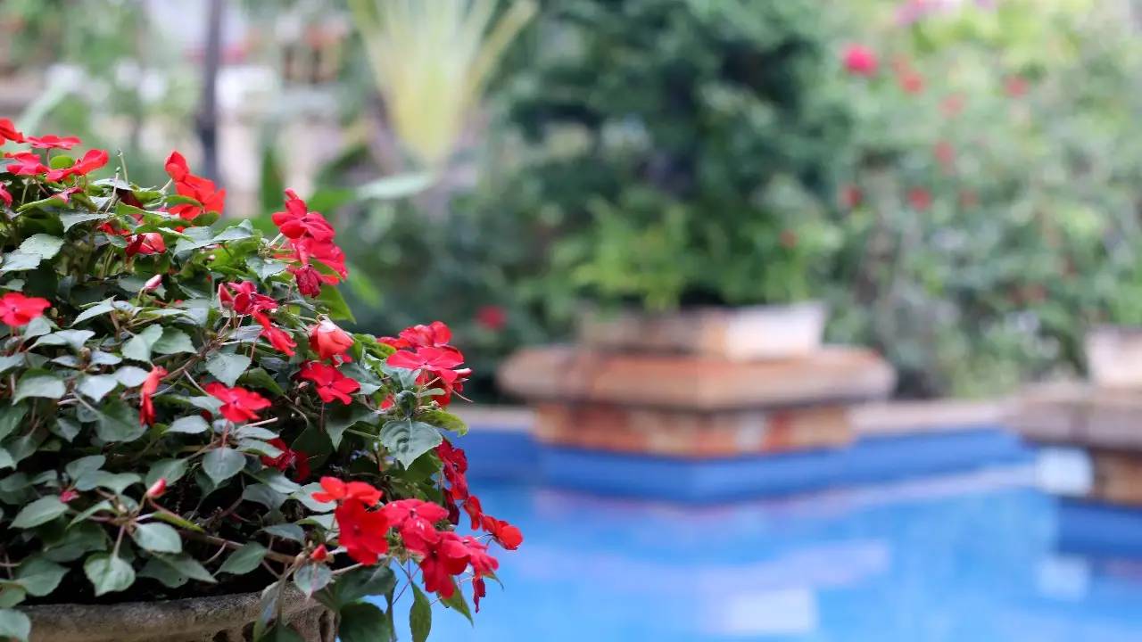 三亚万豪度假酒店攻略,三亚假日度假酒店攻略