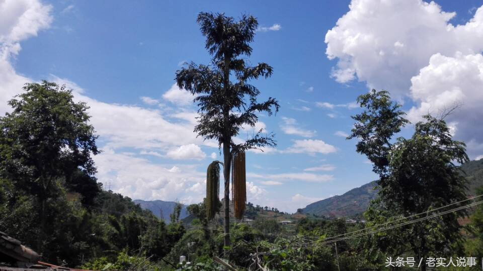 成功法则必看的100条,成功必懂的十个原则