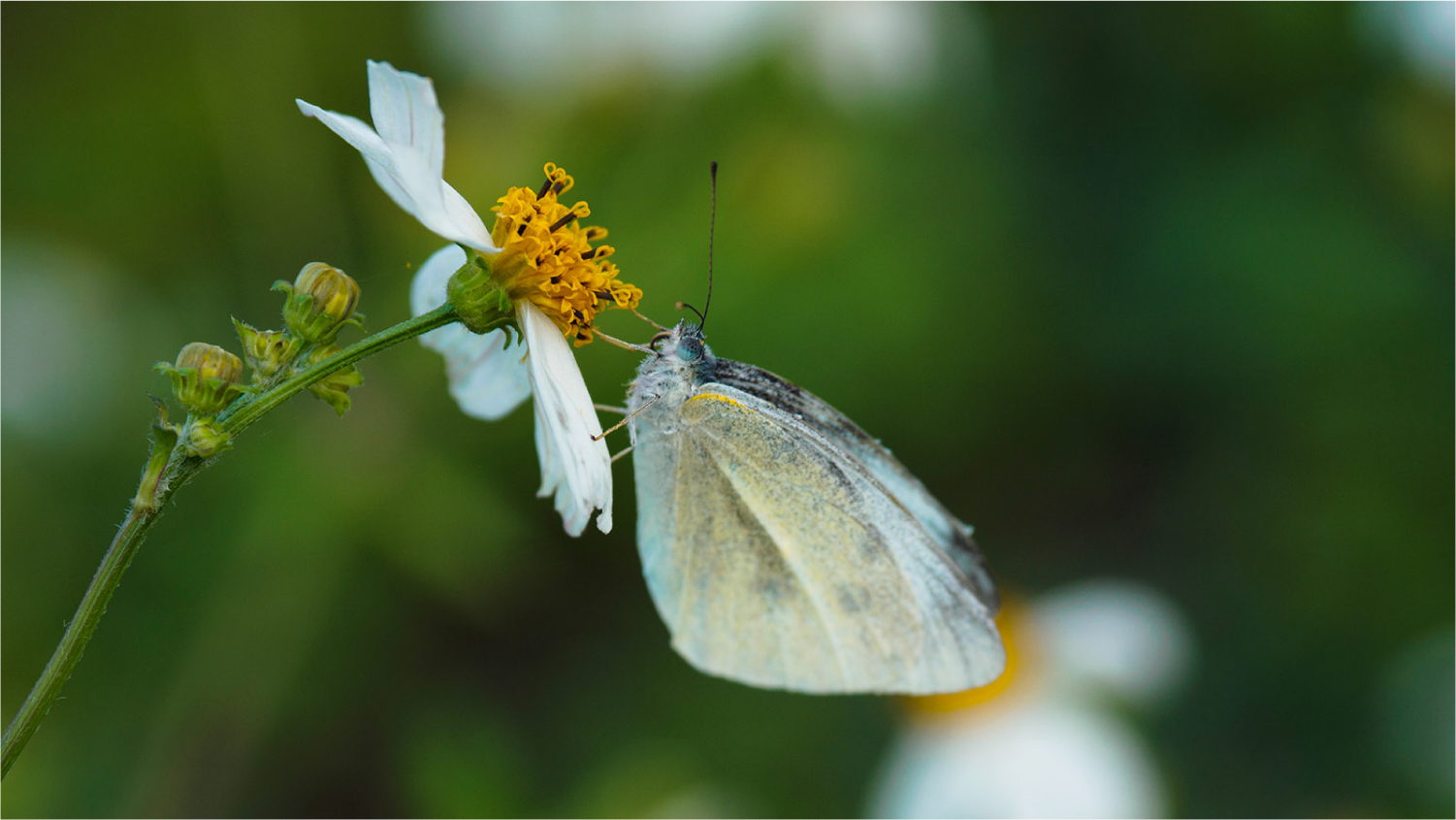 2017年底总结：这一年陪我走过的数码玩具们……