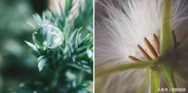 100倍变焦手机摄像头,可以放大50倍的手机摄像头