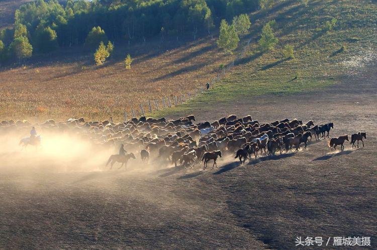内蒙古大草原骑马狂奔照片,草原天堂写真