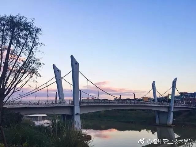 福州的职业技术学院有哪些,福州职业技术学院都有什么学院