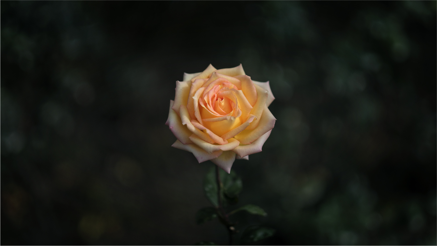 2017年底总结：这一年陪我走过的数码玩具们……