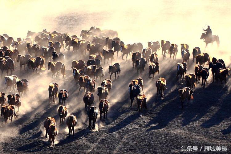 内蒙古大草原骑马狂奔照片,草原天堂写真