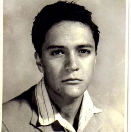 干了这碗深夜的鸡汤,干了这碗鸡汤继续前行