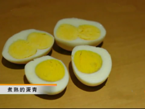 新款斗鸡养殖版,斗鸡的养殖技术视频播放