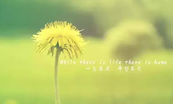 微商鼓励自己的朋友圈说说,早安励志微商朋友圈说说